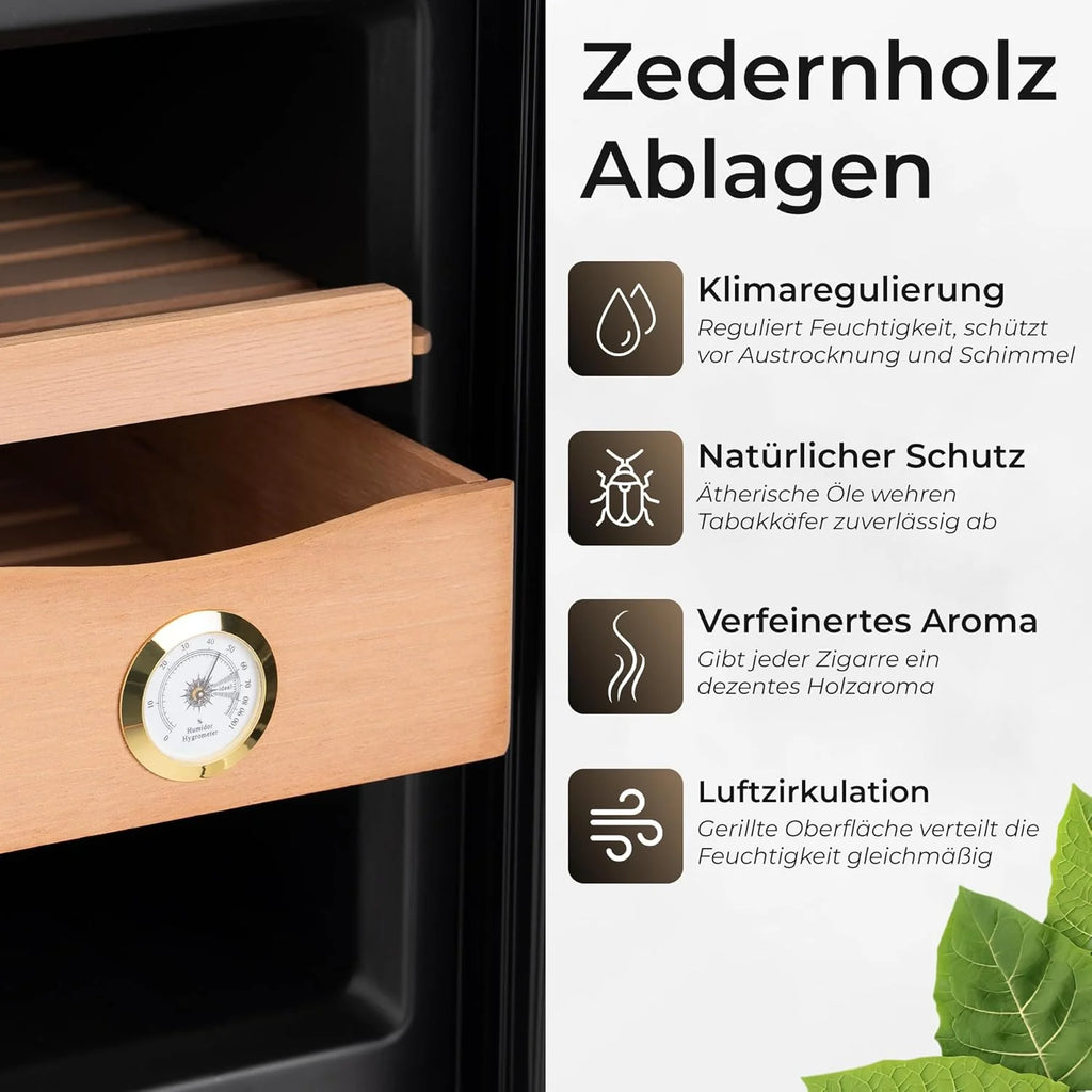 Zigarren Humidor