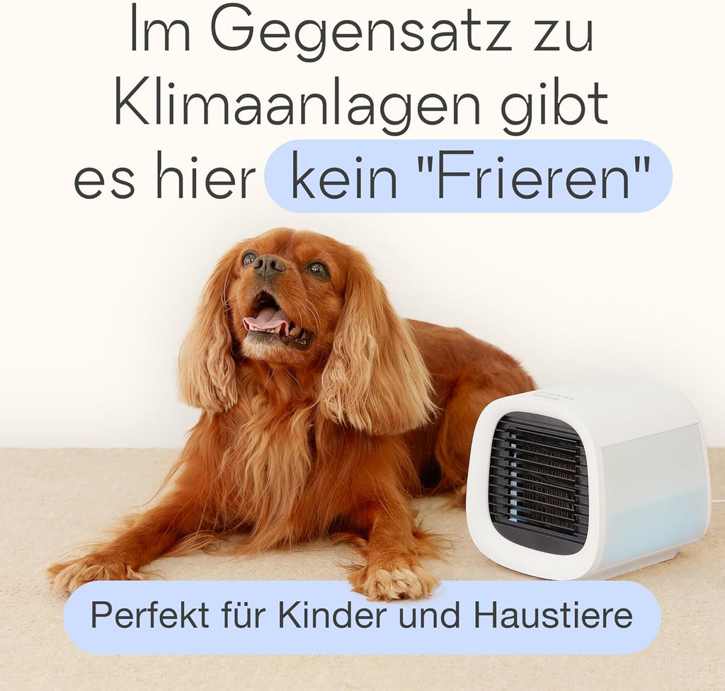 Evapolar evaCHILL Luftkühler & Luftbefeuchter - Leise & tragbar – Kühler für Heim, Büro, Camping, auf Reisen – USB-Anschluss für einfaches Verbinden & integriertes LED-Nachtlicht - grau