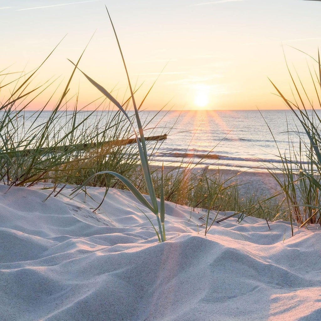Textil Sonnensegel OSTSEE-Strand | Höhe 200cm | hochwertiger Fotodruck inkl. Keder-Befestigung | Markisen-Vorderwand - Länge/Keder: 380cm / 5 mm Keder