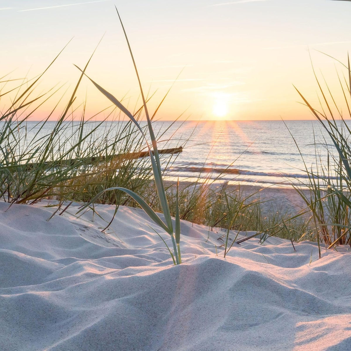 Textil Sonnensegel OSTSEE-Strand | Höhe 200cm | hochwertiger Fotodruck inkl. Keder-Befestigung | Markisen-Vorderwand - Länge/Keder: 380cm / 5 mm Keder