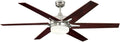 72077 Cayuga Deckenventilator 152 cm, gebürstetes Nickel, für den Innengebrauch, Leuchtenset mit Opalmilchglas