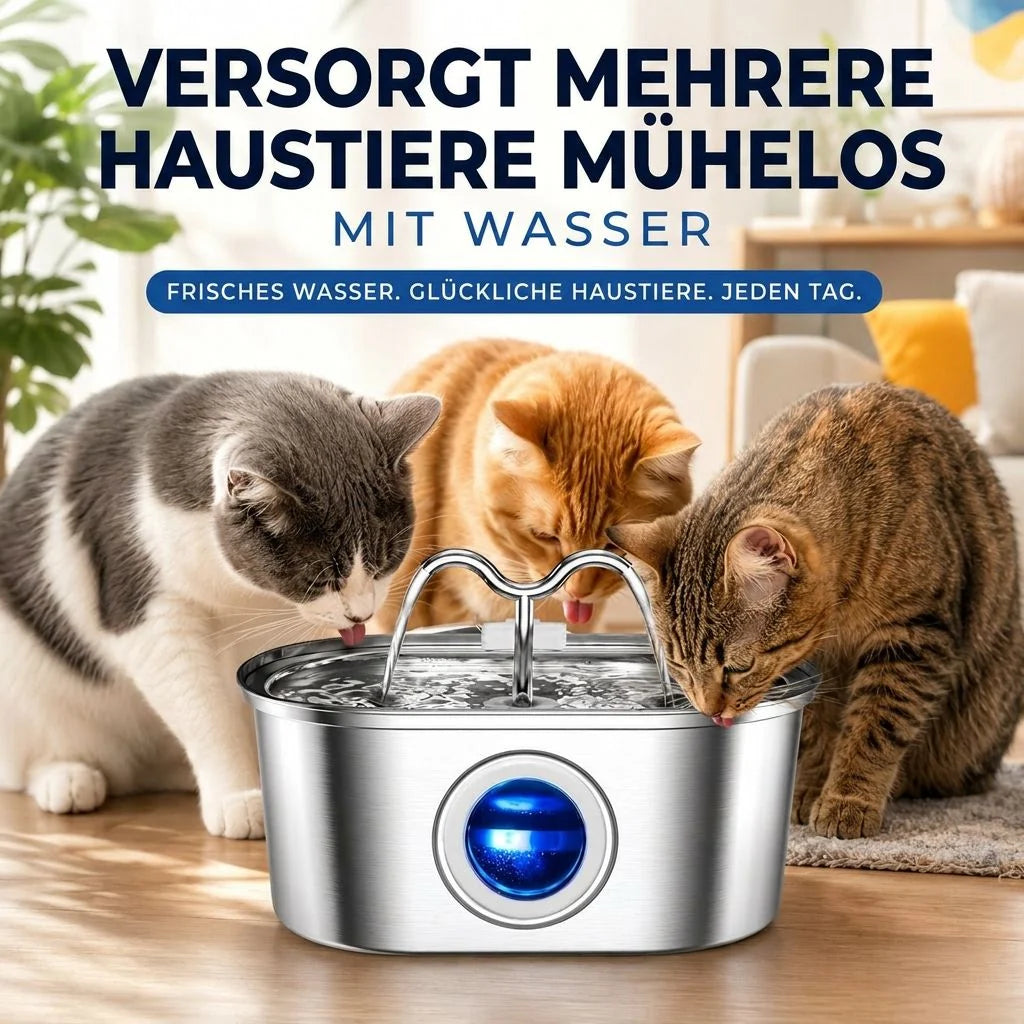 Katzen Trinkbrunnen aus Edelstahl | Samtbrunnen