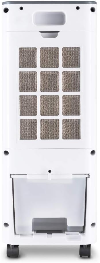TROTEC PAE 21 Aircooler, mobiles 3 in 1 Klimagerät, Luftkühler, Lufterfrischer, Ventilator (3 Gebläsestufen, leise, Swing-Funktion)