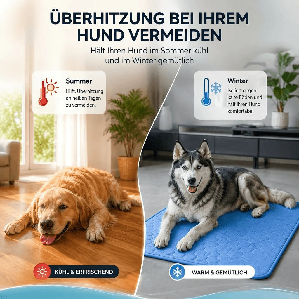 Kühlmatte für Hunde | Kühlpfote