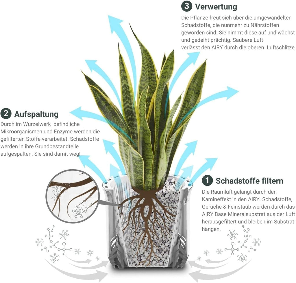 AIRY Luftreiniger System S inkl. Bogenhanf & 3-Liter Airy Base • Natürlicher Luftfilter beseitigt Schadstoffe, Allergene & Gerüche • Ideal für Räume mit ca. 10qm • 1317-613 anthrazit-grau