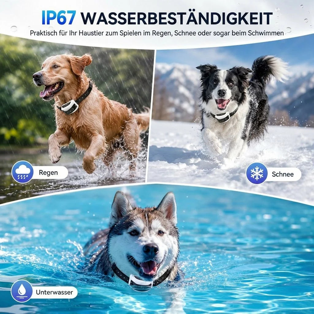 Kabelloser Hundezaun | GrenzWacht