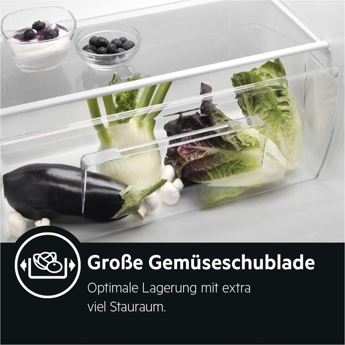 AEG TSK5O881ES Built-In Fridge / 880 mm / 142 L/Tow Door/E
