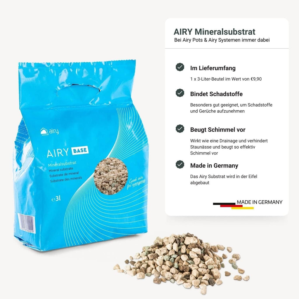 AIRY Luftreiniger System S inkl. Bogenhanf & 3-Liter Airy Base • Natürlicher Luftfilter beseitigt Schadstoffe, Allergene & Gerüche • Ideal für Räume mit ca. 10qm • 1317-613 anthrazit-grau