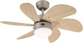 Westinghouse Lighting 76 cm Deckenventilator Turbo Swirl 78158 mit Einzelleuchte und sechs Flügeln, Ausführung in Titan mit Opalmilchglas, 7815840, Titanium