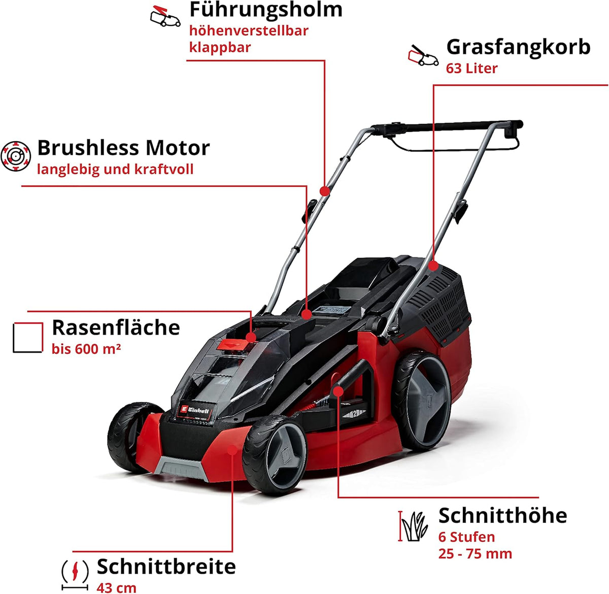 Einhell Akku-Rasenmäher GE-cm 43 Li M Kit Power X-Change (36V, 43 cm Schnittbreite, bis 600 m2, Brushless, Mulch-Kit, 63L Fangkorb, 25-75 mm Schnitthöhe, inkl. 2X 4,0Ah + 2X Ladegerät)