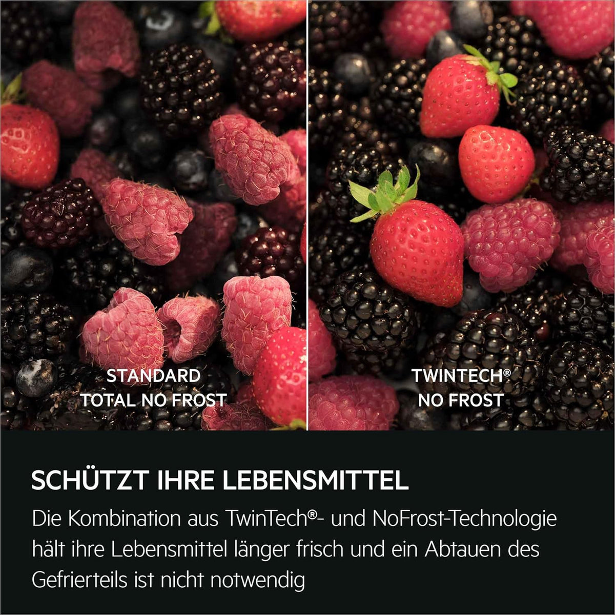 AEG Einbau‑Kühl‑Gefrierkombination 178cm, flüsterleise 27 dB, Serie 7000 NoFrost KI CoolAssist- automatische Frische ohne Abtauen, EEK A, Kühlen 182 L, Gefrieren 63 L, Zone 0°, Festtür, TC7CS181AF