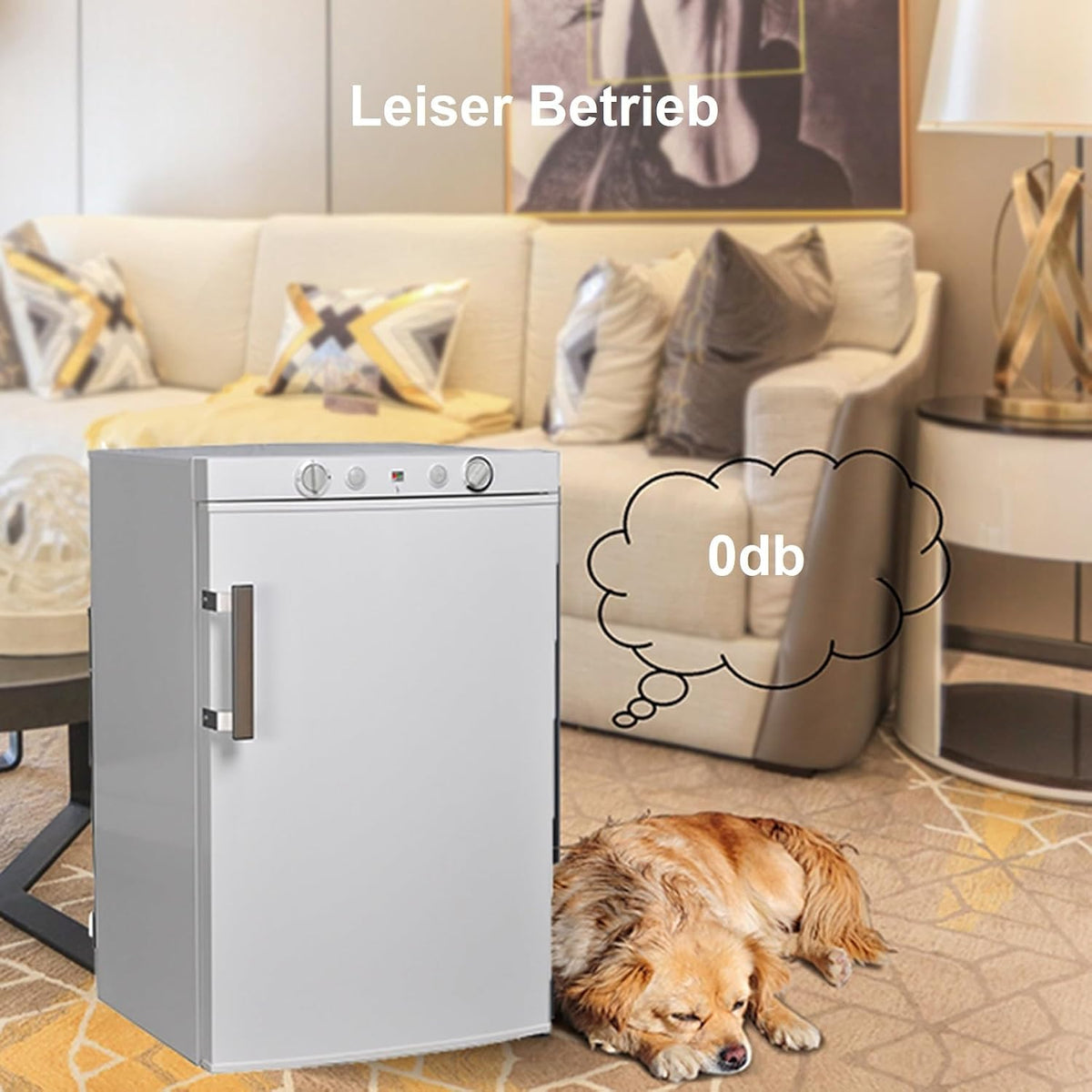 Trivalente Nevera 12V 220V Gas, 100L, Con Congelador para Camper, Camping Car, Caravana, Casa, Furgoneta, Cottage, Cabaña, Blanco