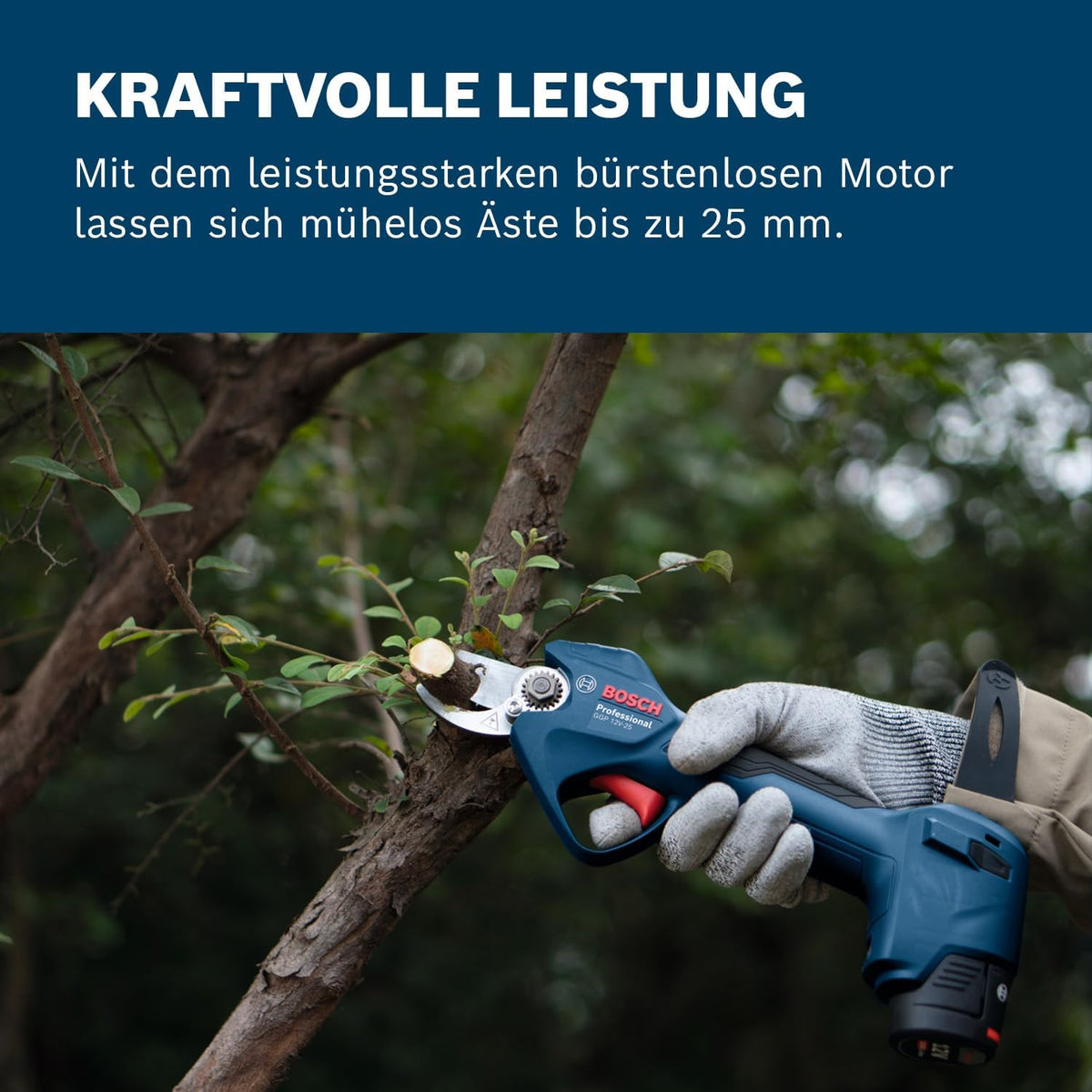 Bosch Professional 12V System Astschere GGP 12V-25 (bis zu 4.500 Schnitte pro Akkuladung, bürstenloser Motor, 25-mm-Schnitte, mit 2x 3,0-Ah-Akku)