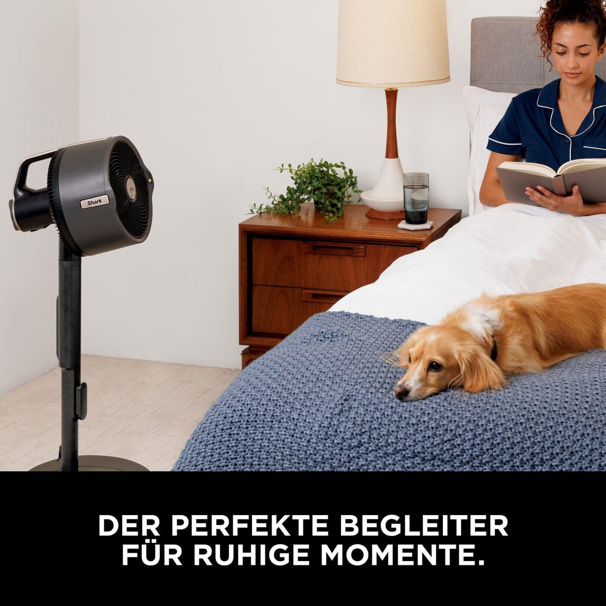 Shark FlexBreeze Pro Mist Akku-Ventilator für innen und außen mit Sprühsystem, tragbarer Sprühtank, 20 m, Stand- & Tischventilator, 5 Geschwindigkeitsstufen, leise, Fernbedienung, Anthrazit FA300EU