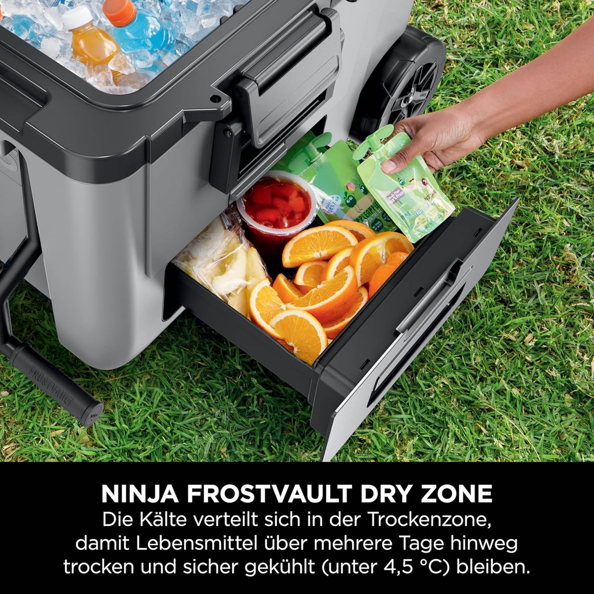 Ninja FrostVault Kühlbox mit Rollen und Isolierung, integrierter Dry Zone Schublade mit Kühlschranktemperatur, hält Eis tagelang, bietet Platz für bis zu 68 Dosen, Schiefergrau, FB245EUGY