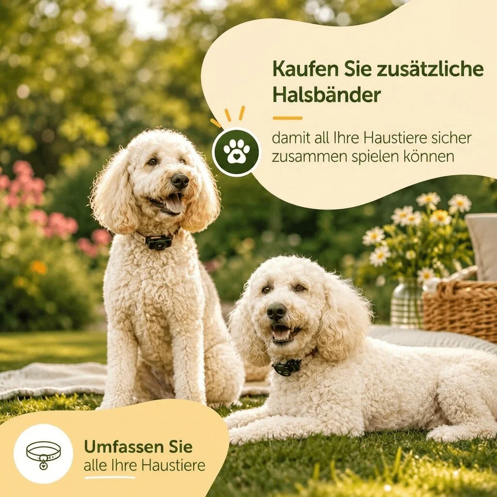 Kabelloser Hundezaun | GrenzWacht