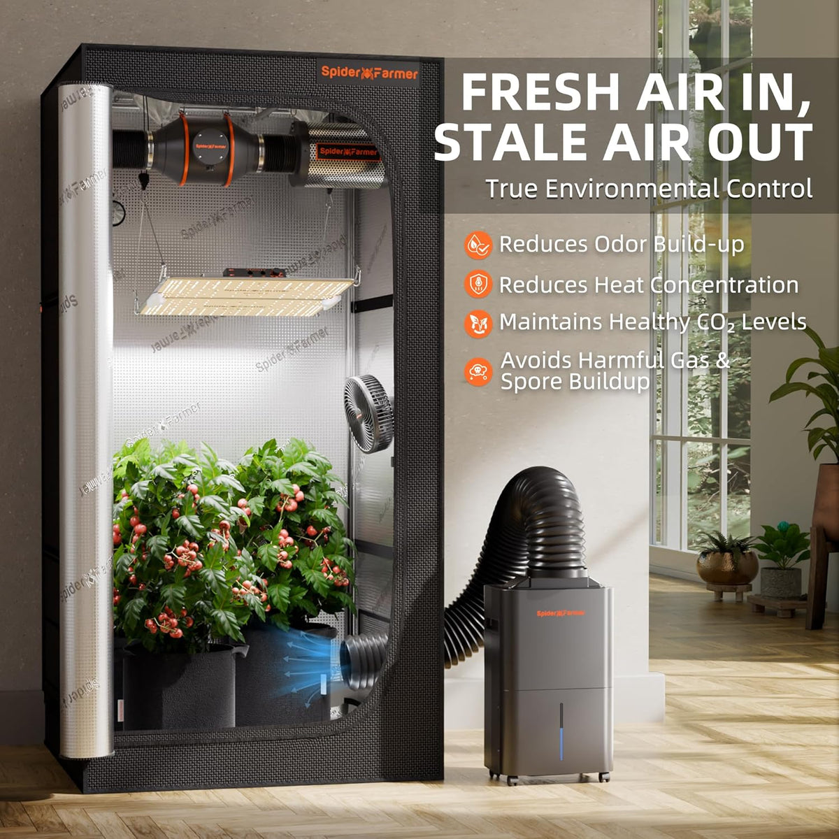 SPIDER FARMER Aufgerüstete Luftentfeuchter Grow Box 12L Luftentfeuchter Elektrisch mit RJ12 Kabel Abflussrohr, Automatische Abtauung, 24H Timer Funktion, Raumentfeuchter für Growzelt Keller Pflanzen